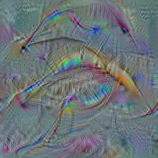 n02879718